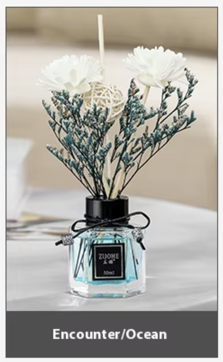 Long-Lasting Eco-Friendly Aromatherapy Diffuser – Flower-Shaped Essential Oil Air Freshener for Home, Office, Car & Bathroom