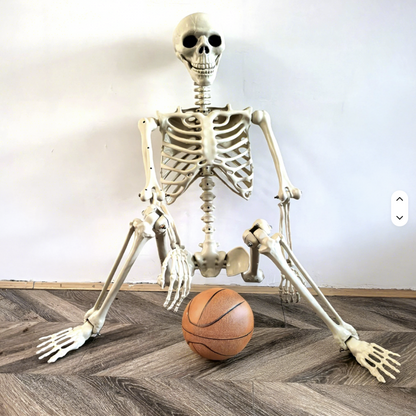 2 Pack 91cm Halloween Skeleton Skull Decoration, Realistic Skull Prop for Halloween Party, for Haunted Houses, KTV, Front Lawn, Graveyard Props